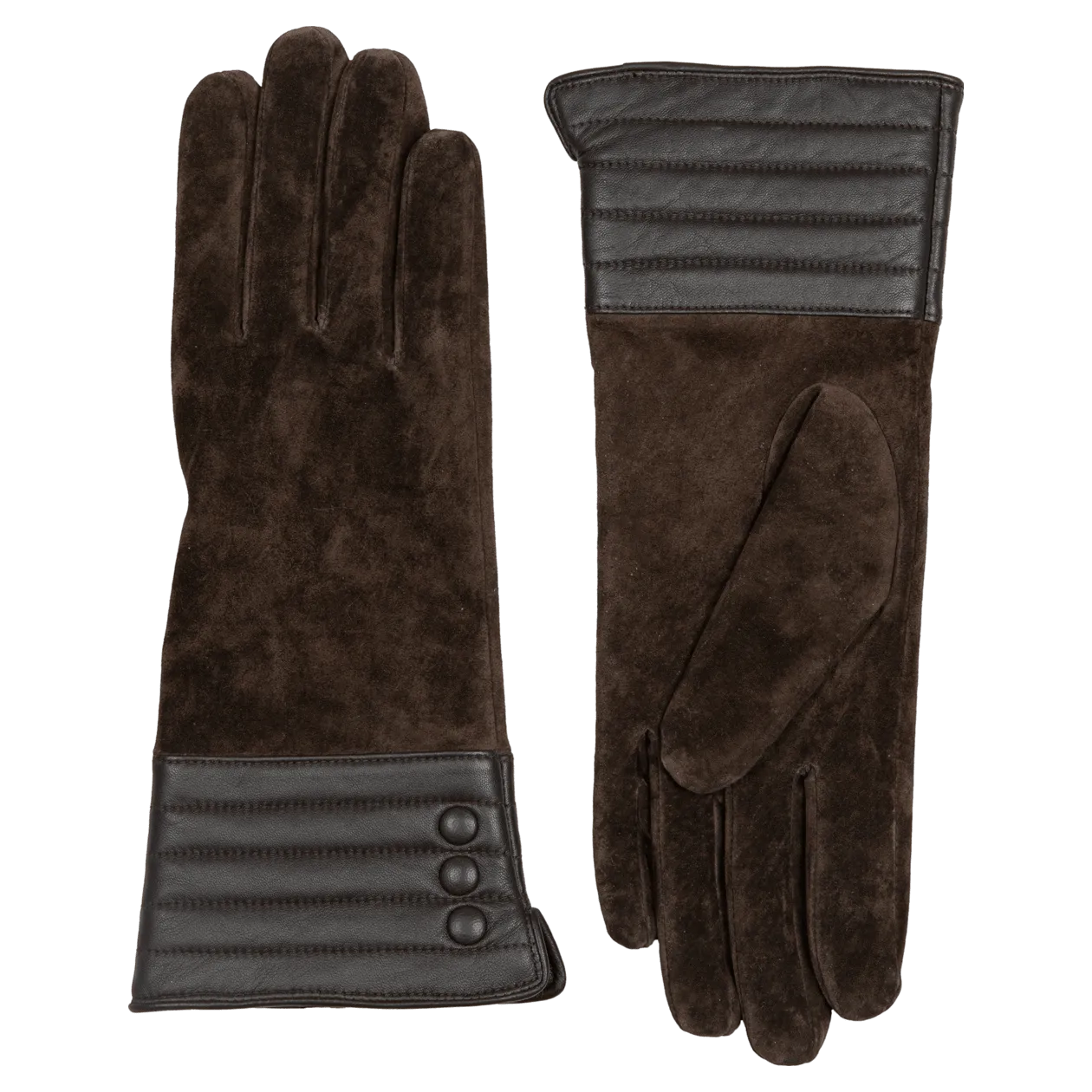 Dents Olivetle Gloves