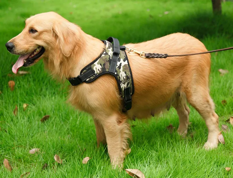 Heavy Duty No Pull Padded Dog Harness