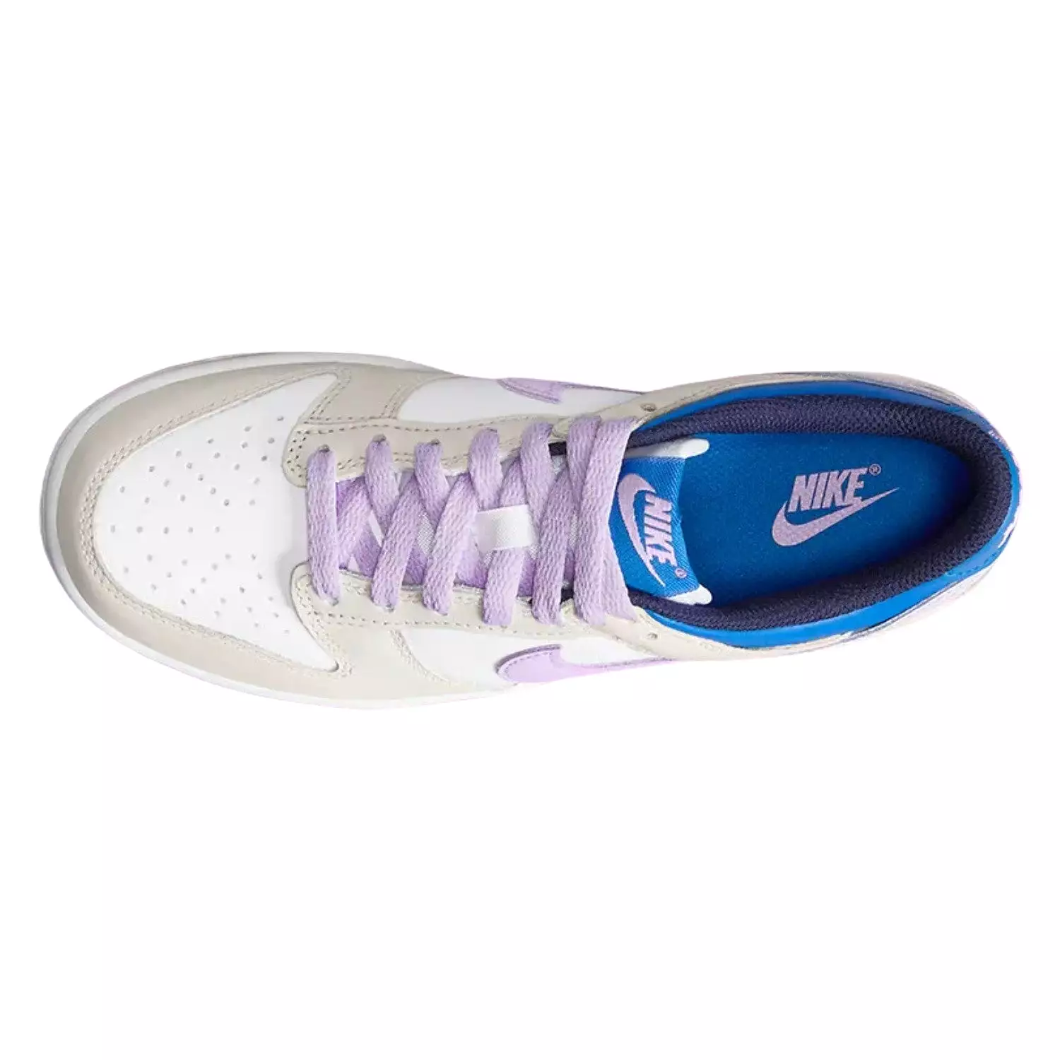 Nike Dunk Low (Gs) Big Kids Style : Fb9109